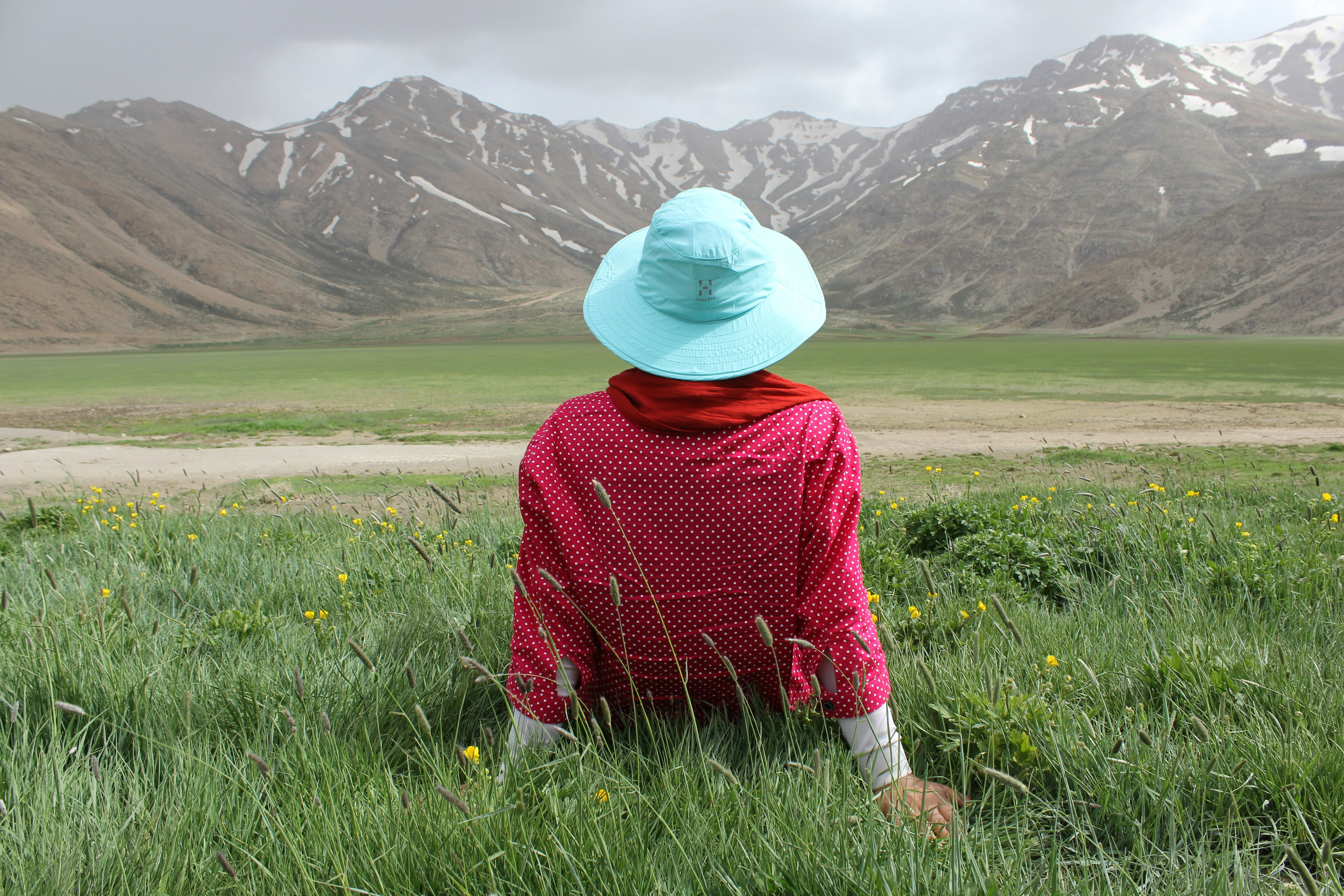 person sitting in green grass lawn